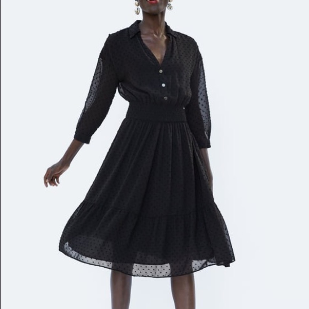 Zara Polka dot dress